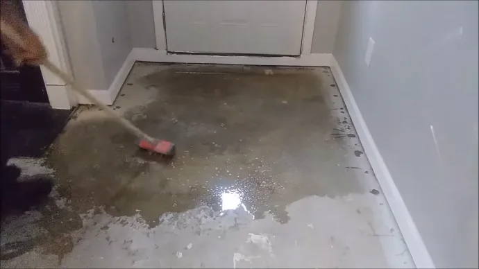 How to Seal Concrete from Cat Urine: Fully Covered [DIY]